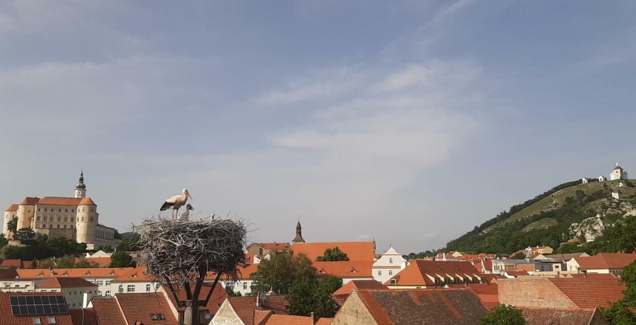 Penzion Cap Mikulov Εξωτερικό φωτογραφία
